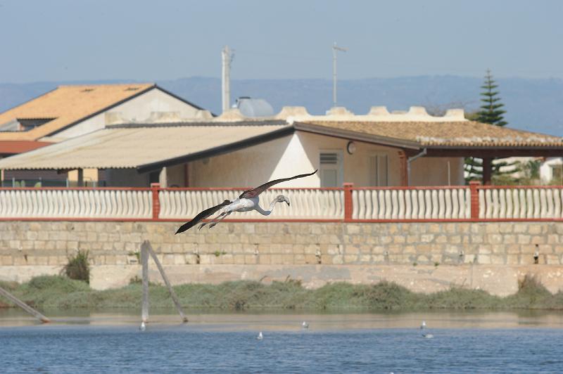 27.2.2011 MARZAMEMI E PRANZO SOCIALE (78).JPG